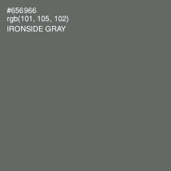 #656966 - Ironside Gray Color Image